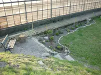 5.Mai 2010 020.webp