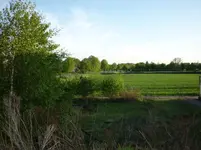 5.Mai 2010 022.webp