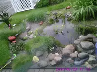 Bild1.webp