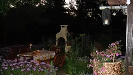 garten 2009 075.webp