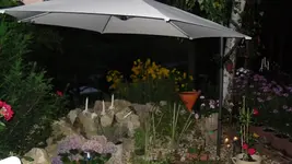 garten 2009 076.webp