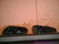 PIC00188.webp