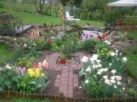 6.5.2010 022.webp