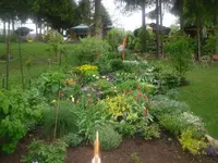 6.5.2010 023.webp