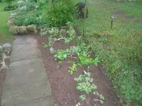 6.5.2010 005.webp