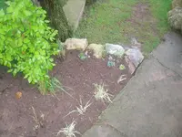 6.5.2010 007.webp