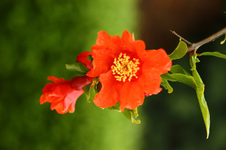 IMG_0725.webp