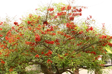 IMG_0762.webp