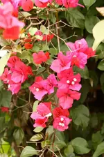 IMG_0767.webp