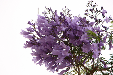 IMG_0770.webp
