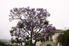 IMG_0771.webp