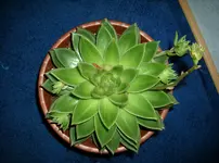 DSCI0877.webp