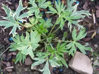 IMG_4610_1024x768.webp