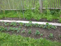 Garten Mai2 002.webp