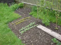Garten Mai2 003.webp
