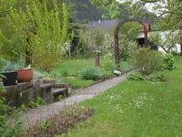Garten Mai2 006.webp