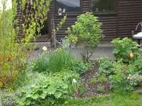 Garten Mai2 007.webp