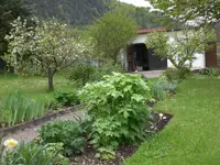 Garten Mai2 009.webp