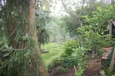 Bick in den garten.webp