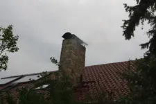 Maikälte.webp