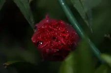 DSC02759.webp