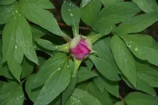 DSC02757.webp