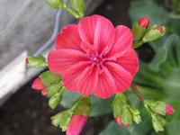 IMG_4625_1024x768.webp