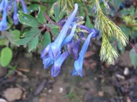 IMG_4630_1024x768.webp