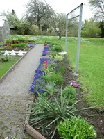 IMG_1025 (2).webp