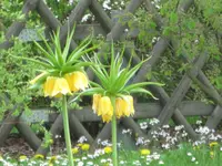 IMG_1030 (2).webp