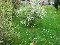 IMG_1032.webp