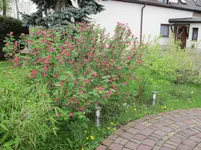 IMG_1033.webp