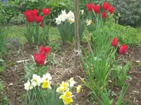 005.webp