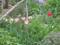 006.webp