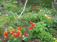 009.webp