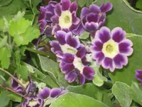 016.webp