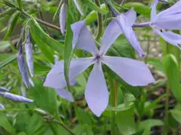 IMG_4641_1024x768.webp