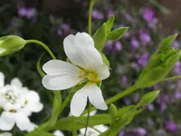 IMG_4673_1024x768.webp