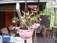08.05.2010 001.webp