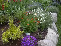 08.05.2010 022.webp