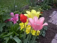 08.05.2010 024.webp