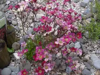 08.05.2010 031.webp