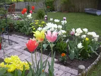 08.05.2010 033.webp