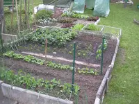 08.05.2010 048.webp