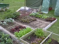 08.05.2010 049.webp