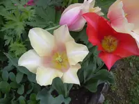 08.05.2010 052.webp