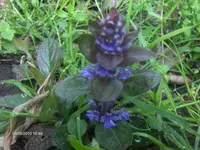 HPIM4389.webp