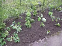 08.05.2010 064.webp