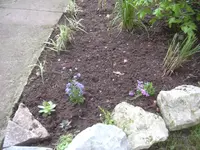 08.05.2010 065.webp