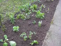 08.05.2010 066.webp